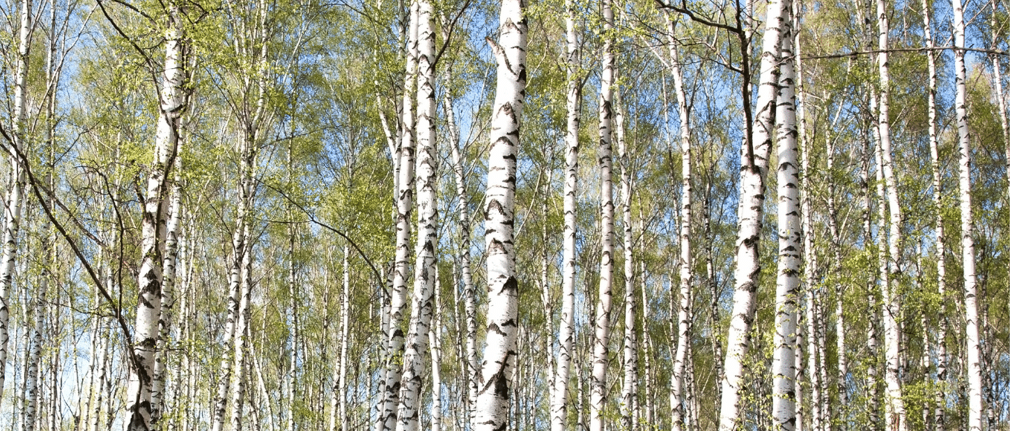 Lihastautipäivät 2025